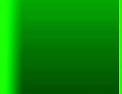 This bachelorette and her friends show just how slutty they are!